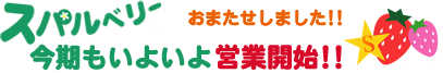 スパルベリー 今期もいよいよ営業開始!!