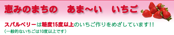 恵み野まちの　あま～い　いちご